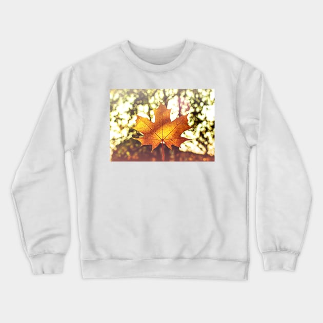 Sunlit golden maple leaf against nature background Crewneck Sweatshirt by lena-maximova